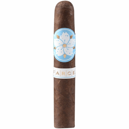 Room 101 FARCE Nicaragua Robusto (5