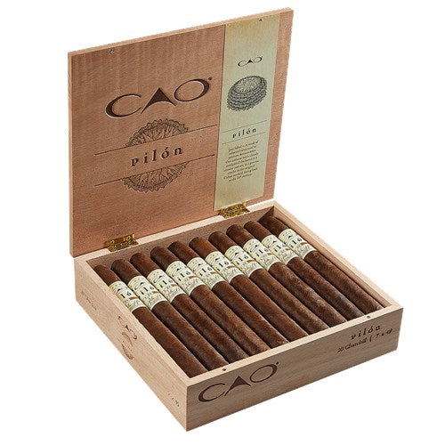 CAO Pilon Churchill (7