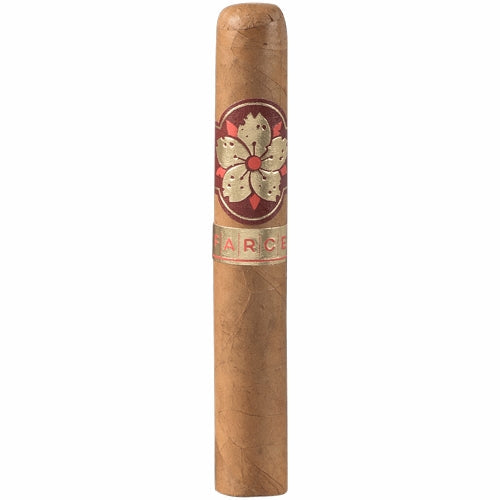 Room 101 FARCE Connecticut Robusto (5