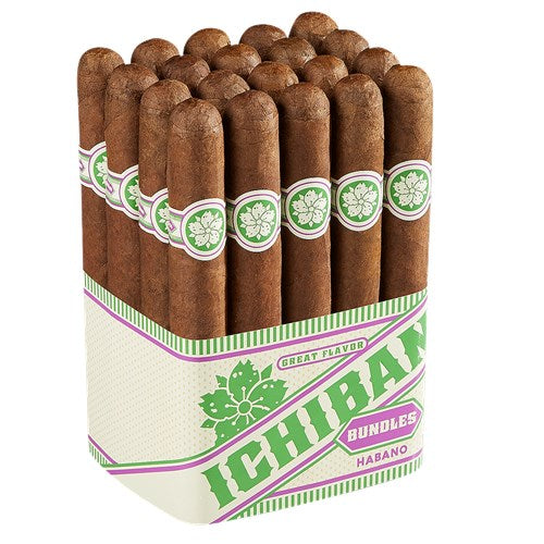 Room 101 Ichiban Habano Toro (6
